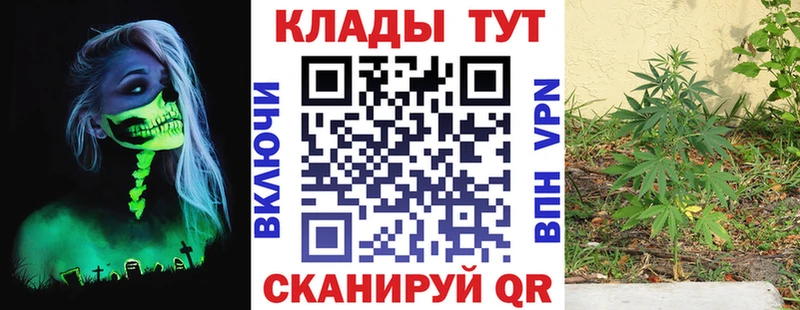 Где можно купить наркотики Отрадное КОКАИН  Альфа ПВП  Гашиш  Канабис  Меф 