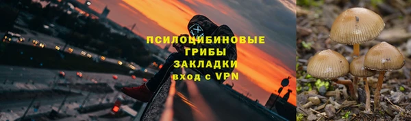 крисы Баксан