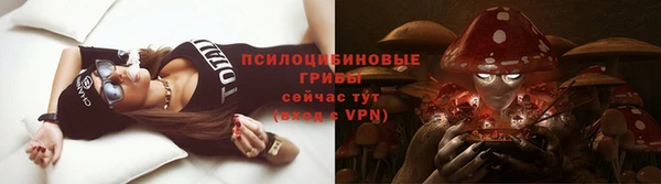 крисы Баксан