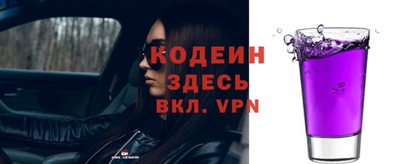 крисы Баксан