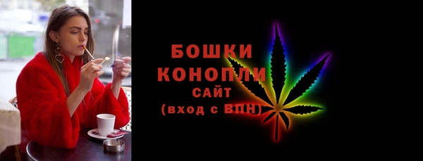 крисы Баксан