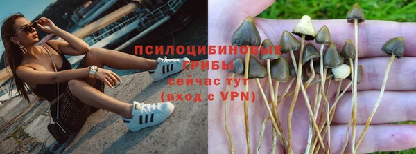 крисы Баксан