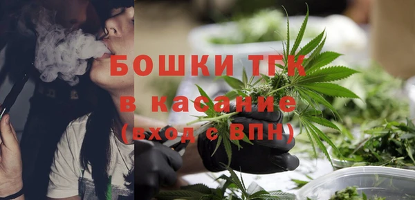 крисы Баксан