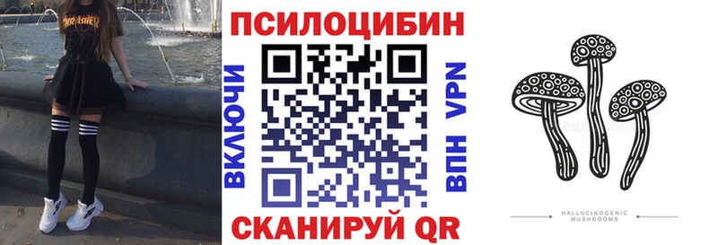 продажа наркотиков  Отрадное  Псилоцибиновые грибы Cubensis 